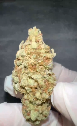 Lemon Haze