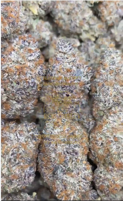 Gorilla ZKittlez <br> 100g/ €600 500g/ €2500 1000/ €4000 