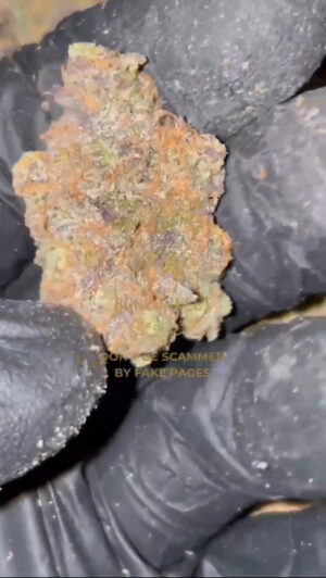 IMG_8962 🇺🇸 CALI IMPORT LANDED 🇺🇸 RUNTZ 28g / €300 112g / €1000 224g / €1700 448g / €2900 ‼️PROMO: 448G €2900 ➡ €2600