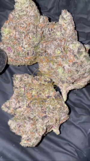 IMG_8963 🇺🇸 CALI IMPORT LANDED 🇺🇸 CHERRY BISCOTTI 28g / €300 112g / €1000 224g / €1700 448g / €2900 ‼️PROMO: 448G €2900 ➡ €2600