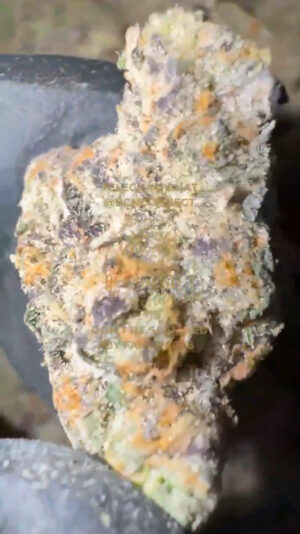 IMG_8969 🇺🇸 CALI IMPORT LANDED 🇺🇸 BANANA SLUSH 28g / €300 112g / €1000 224g / €1700 448g / €2900 ‼️PROMO: 448G €2900 ➡ €2600