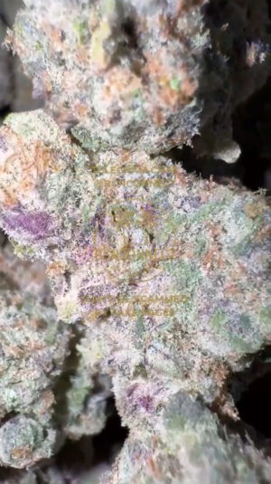 IMG_8971 🇺🇸 CALI IMPORT LANDED 🇺🇸 PEANOT BUTTER BREATH 28g / €300 112g / €1000 224g / €1700 448g / €2900 ‼️PROMO: 448G €2900 ➡ €2600