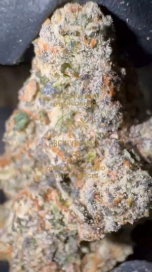 IMG_8972 🇺🇸 CALI IMPORT LANDED 🇺🇸 ICE CREAM GENOLADE 28g / €300 112g / €1000 224g / €1700 448g / €2900 ‼️PROMO: 448G €2900 ➡ €2600