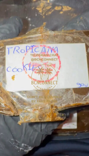 IMG_9020 DRYTECH X GOLDEN FARM STATIC📦🇲🇦 TROPICANA COOKIES APRICOT MULBERRY 100g / €900 200g / €1700 500g / €3500 1000g / €6000 ‼️PROMO: KG €6000 ➡ €5500